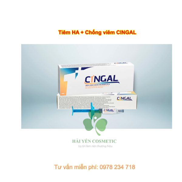 CINGAL: TIÊM HA + CHỐNG VIÊM 1 Mũi x 4ml (Mỹ)